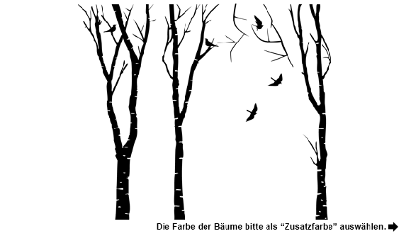 Wandtattoo Zweifarbiger Birkenwald Motivansicht
