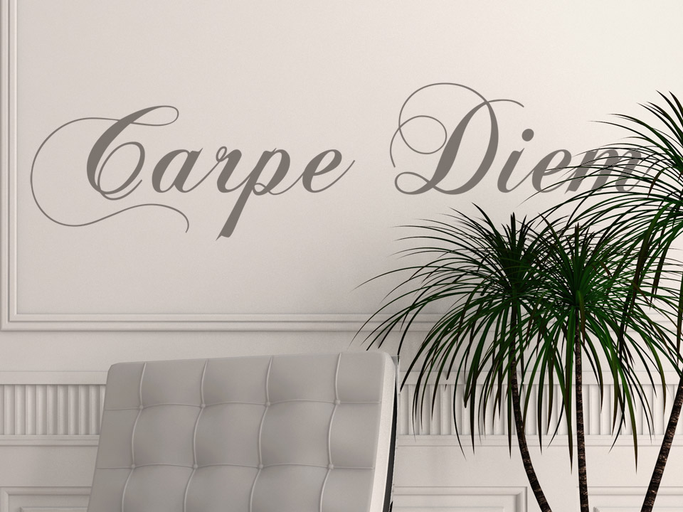 Schlafzimmer Lounge Wandkunst Carpe Diem Nutze den Tag Wandaufkleber Zitat