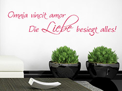 Wandtattoo Omnia Vincit Amor